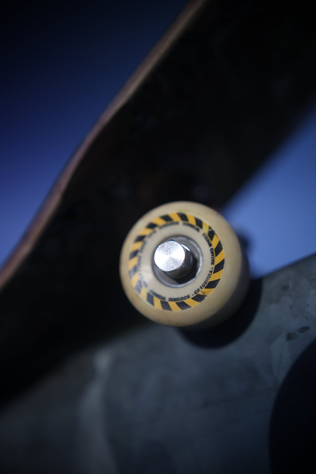 Front-on close-up of a Dognut installed on a skateboard wheel